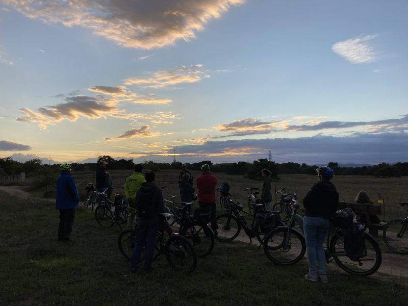 Die Teilnehmer:innen stehen mit ihren Rädern vor dem Sonnenuntergang auf einem Weg am Rand des Mainzer Sandes