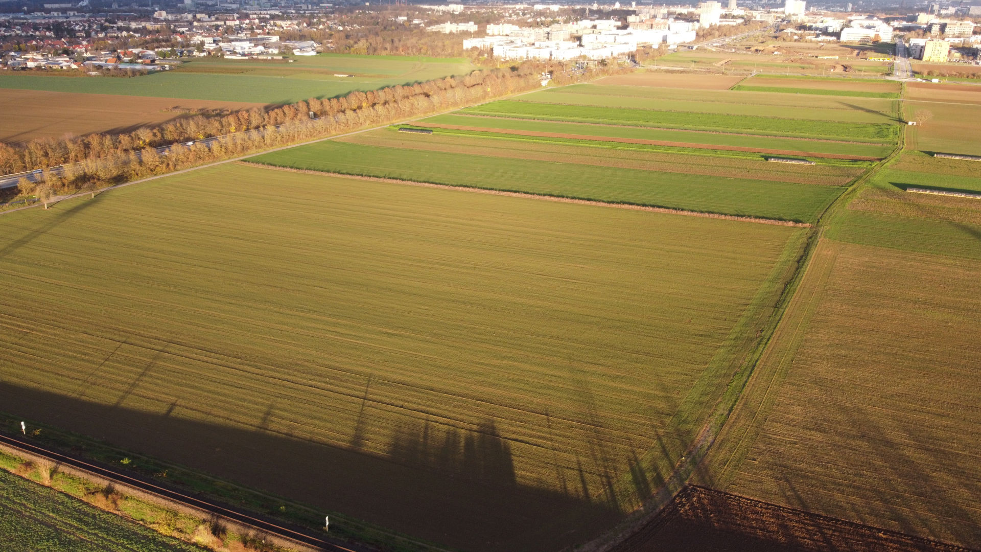Blick von oben (Drohnenbild) auf das Ackergelände, auf dem der Biotech-Campus gebaut werden soll. LInks die Saarstraße, dahinter die Kisselberg-Bebauung, am oberen Bildrand die Universität.
